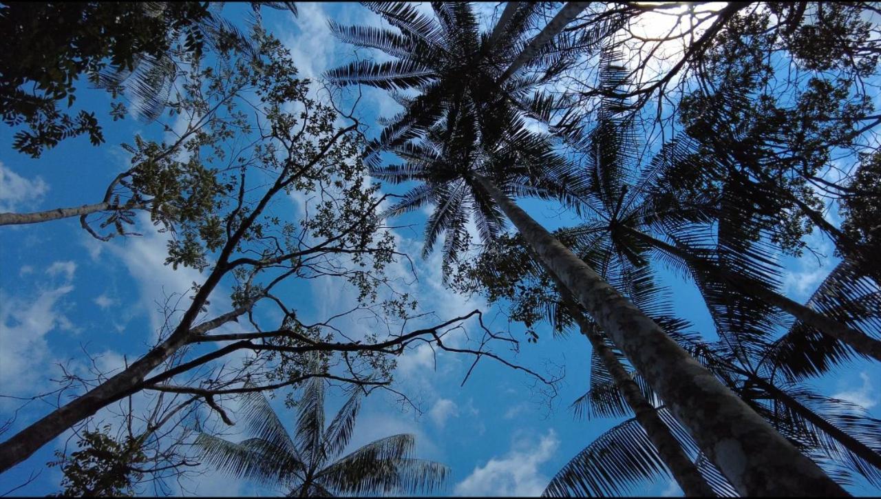 Hotel Karupa Amazonas 莱蒂西亚 外观 照片