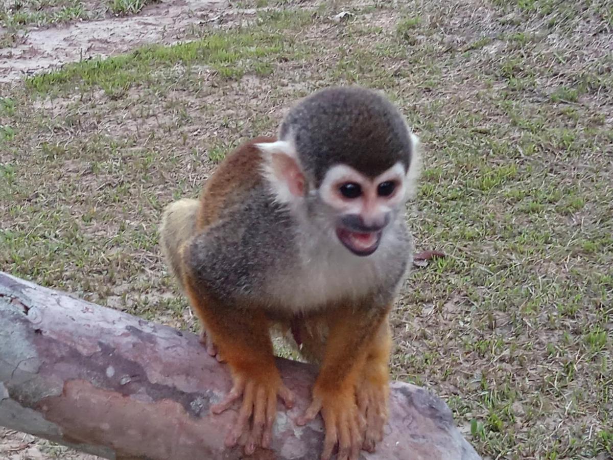 Hotel Karupa Amazonas 莱蒂西亚 外观 照片